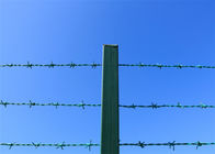 Покрытая ПВК разделительная стена зеленого цвета колючей проволоки Лова на верхней части загородки звена цепи