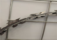 10кг/катушка КБТ - горячий окунутый гальванизированный провод бритвы 60 с диаметром 30км катушки