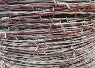 Датчик покрытый цинком колючки провода фермы загородки 14 Барбвире с ориентированными на заказчика спецификациями