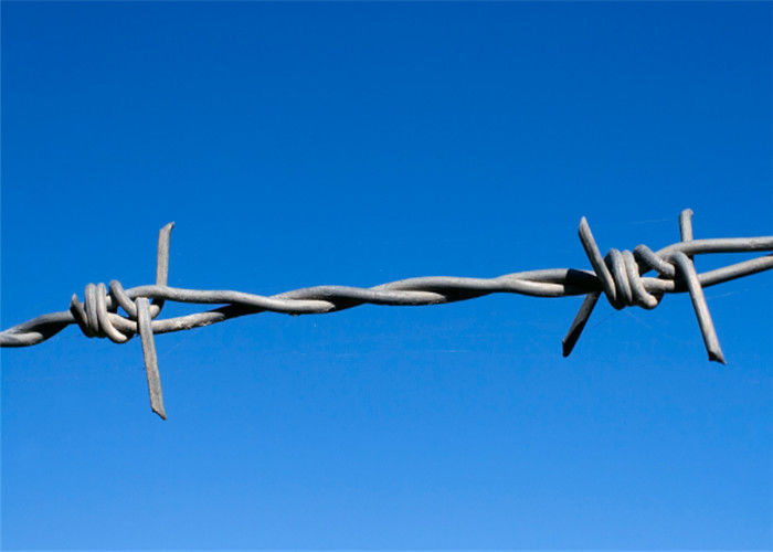 Железная гальванизированная Исо ячеистая сеть Сукуриты колючей проволоки тюрьмы гаучо ограждает